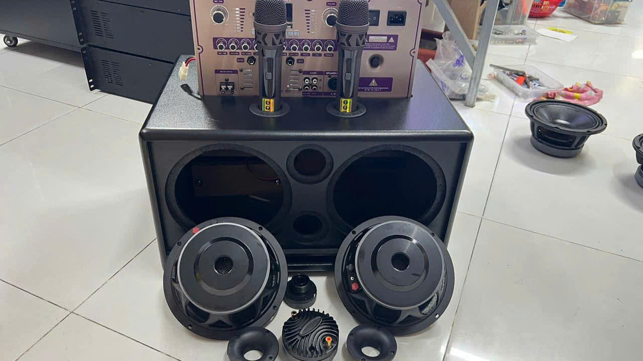 Micro và loa kẹo kéo 10